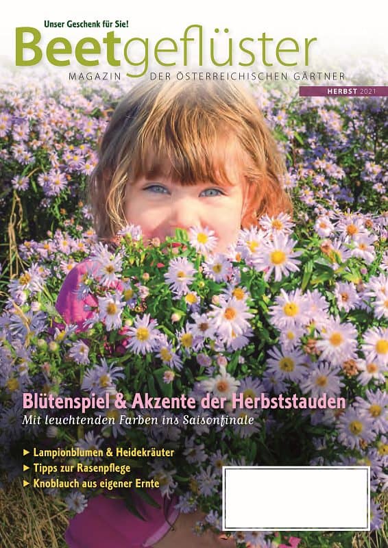 Cover Beetgeflüster Herbst 2021