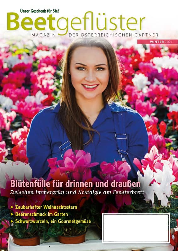 Cover  Beetgeflüster Winter 2021