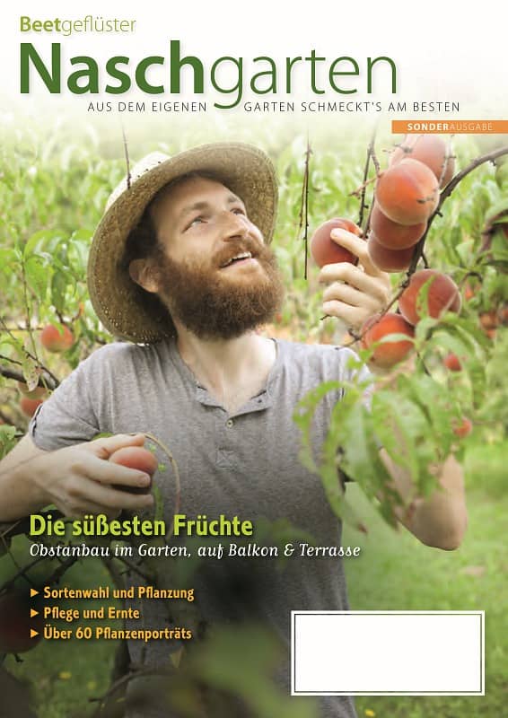 Cover Beetgeflüster Naschgarten
