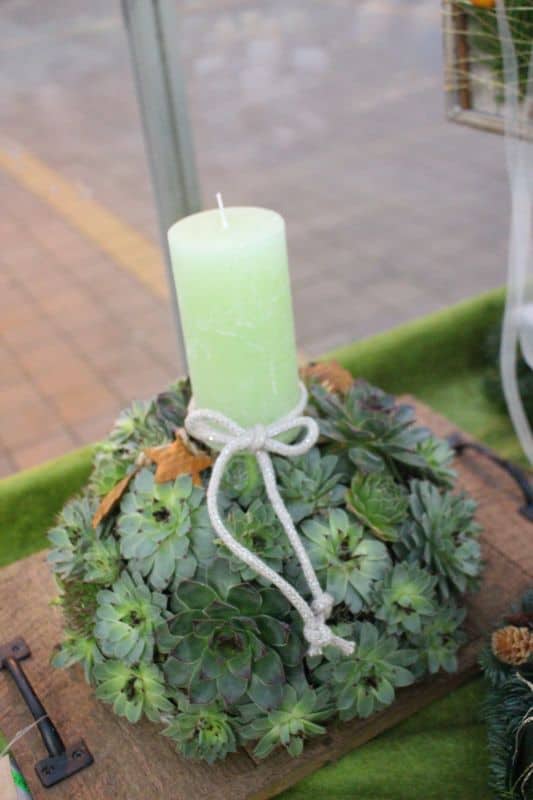 Adventgesteck mit Sukkulente und grüner Kerze