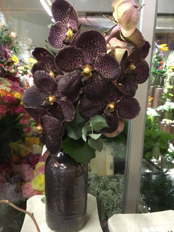 dunkel violette Orchidee in Glasvase