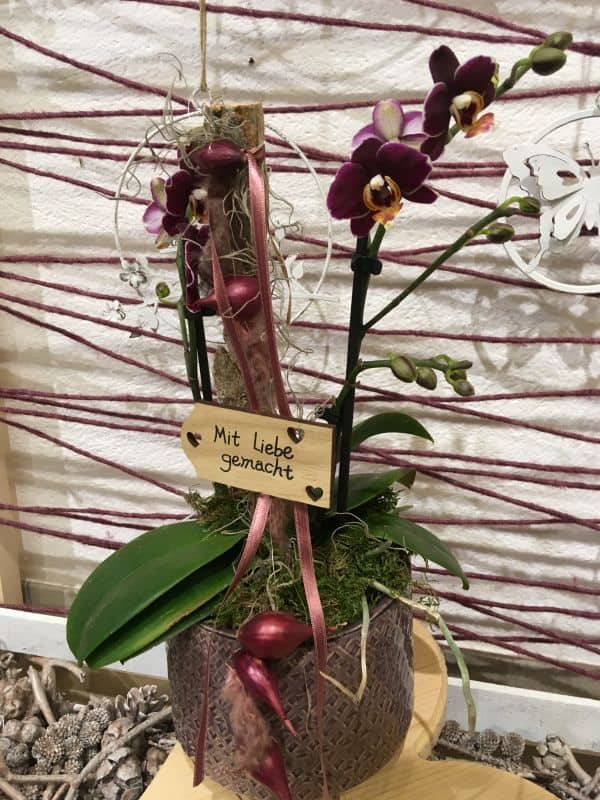 dunkel violette Orchidee mit Schild "mit Liebe gemacht"