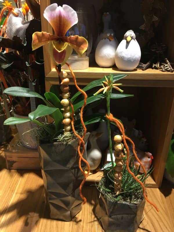 Orchidee in grauer Vase mit Dekoration