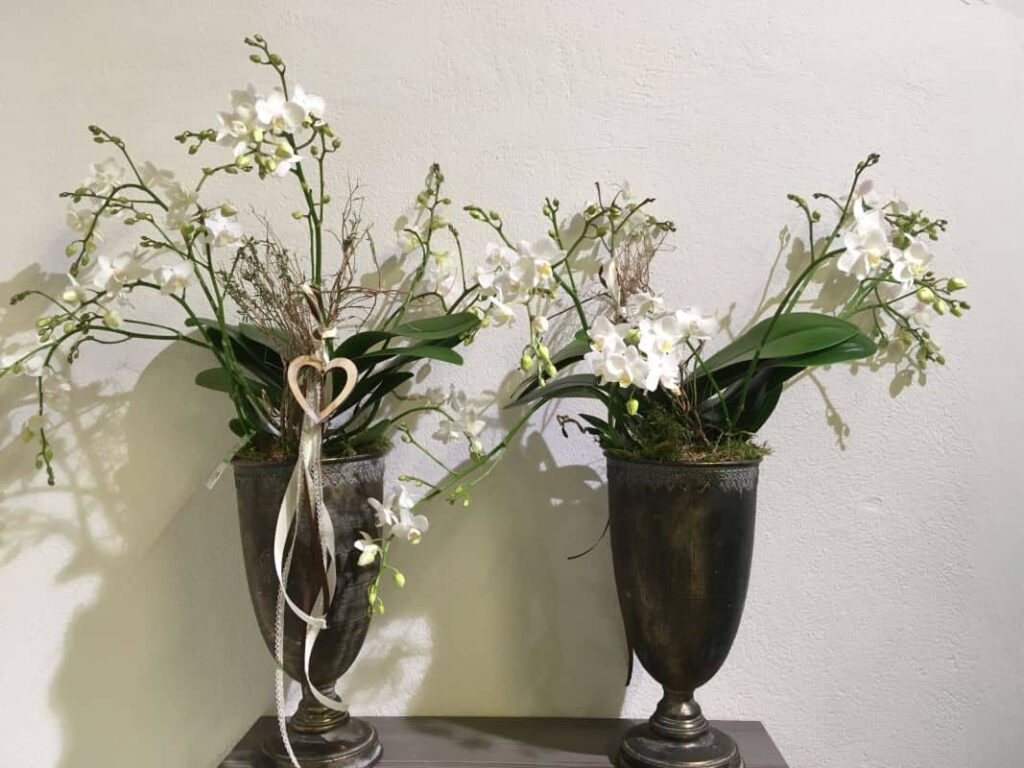 graue Vasen/Kelche mit Orchideen